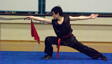 Xia Quan Tai Chi Kung Fu Nederland Rotterdam Ned. Wushu Competition 2008